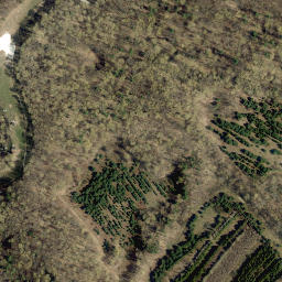 Satellite imagery of Milton Heights, CA