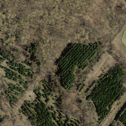 Satellite imagery of Milton Heights, CA