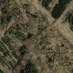 Satellite imagery of Milton Heights, CA