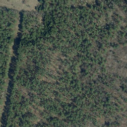 Satellite imagery of B98004 — NGS AI2879 — Clarendon, US, US