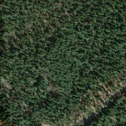 Satellite imagery of Zims Point, US