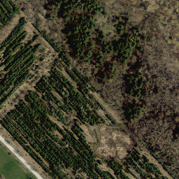Satellite imagery of Milton Heights, CA
