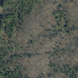 Satellite imagery of B98004 — NGS AI2879 — Clarendon, US, US