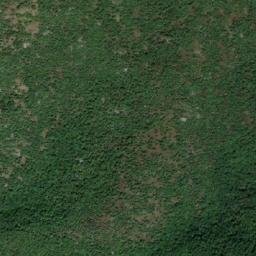 Satellite imagery of Tipchen, BG