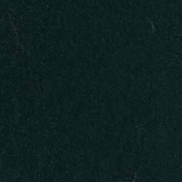Satellite imagery of Cannon Point, US