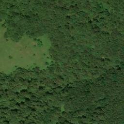 Satellite imagery of Golash, BG