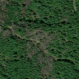 Satellite imagery of Homestead Ridge, US
