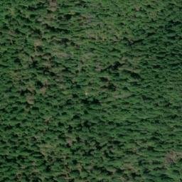 Satellite imagery of Homestead Ridge, US