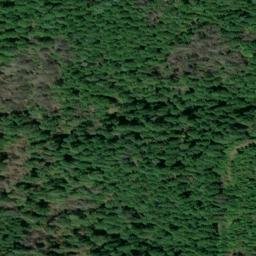 Satellite imagery of Homestead Ridge, US