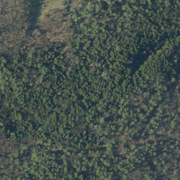 Satellite imagery of B98010 — NGS AI2885 — Wallingford, US, US