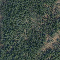 Satellite imagery of B98009 — NGS AI2884 — Wallingford, US, US