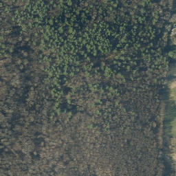 Satellite imagery of B98010 — NGS AI2885 — Wallingford, US, US
