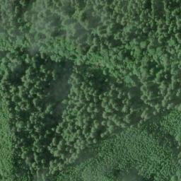 Satellite imagery of Devils Elbow, US
