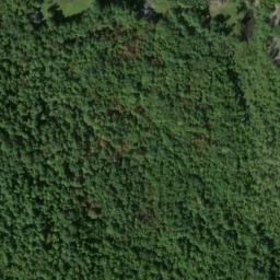 Satellite imagery of Woods Point, US