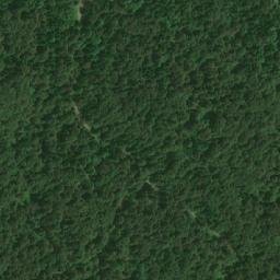 Satellite imagery of Ravna Gora, BA