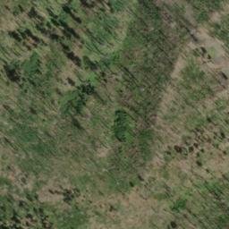 Satellite imagery of Cougar Ridge, US