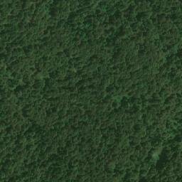 Satellite imagery of Ravna Gora, BA