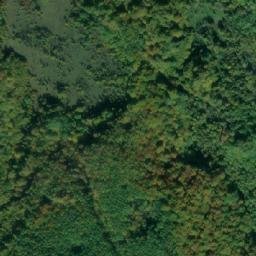 Satellite imagery of Butkovina, BA