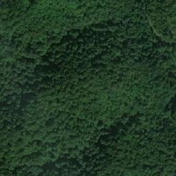 Satellite imagery of Srednjak, RS