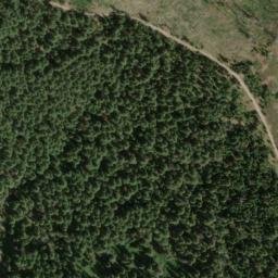 Satellite imagery of Cougar Ridge, US