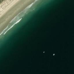 Satellite imagery of Fletcher Neck, US