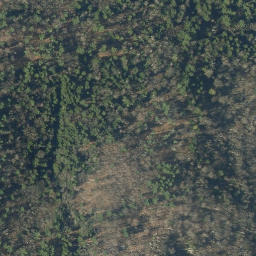 Satellite imagery of B98013 — NGS AI2888 — Wallingford, US, US