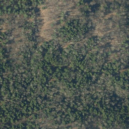 Satellite imagery of B98014 — NGS AI2889 — Wallingford, US, US