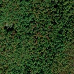 Satellite imagery of Walnut Ridge, US