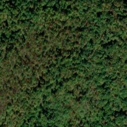Satellite imagery of Walnut Ridge, US