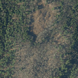 Satellite imagery of RV 44 — NGS OD0242 — Wallingford, US, US