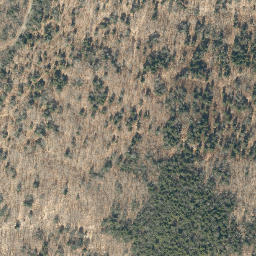 Satellite imagery of Hickory Ridge, US