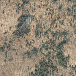 Satellite imagery of Hickory Ridge, US