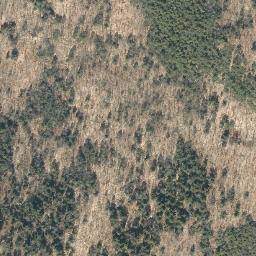 Satellite imagery of Hickory Ridge, US