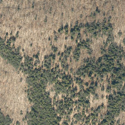Satellite imagery of Hickory Ridge, US