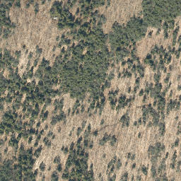 Satellite imagery of Hickory Ridge, US