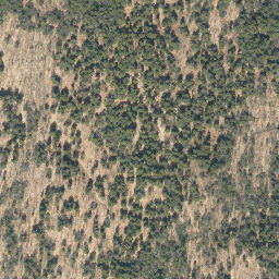 Satellite imagery of Hickory Ridge, US