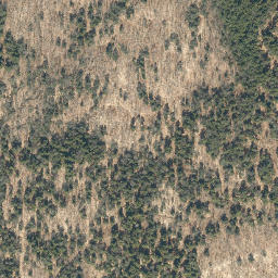 Satellite imagery of Hickory Ridge, US