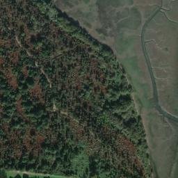 Satellite imagery of Punta del Olivar, ES