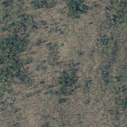 Satellite imagery of RV 40 — NGS OD0237 — Danby, US, US
