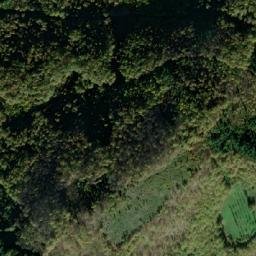 Satellite imagery of Velika Ploča, RS