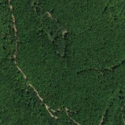 Satellite imagery of Radenovac, RS