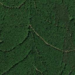 Satellite imagery of Kostenički Breg, RS