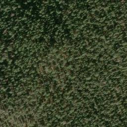 Satellite imagery of Walker Rim, US