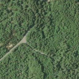 Satellite imagery of Coos Head, US