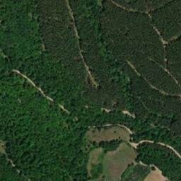 Satellite imagery of Radenovac, RS