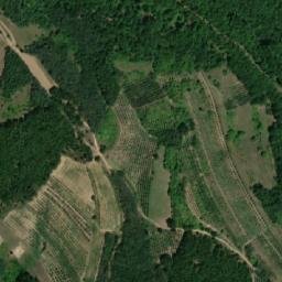 Satellite imagery of Radenovac, RS