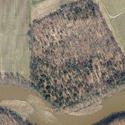 Satellite imagery of Shipman Point, US