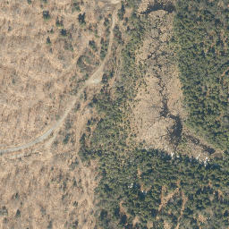 Satellite imagery of Oak Ridge, US