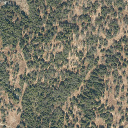 Satellite imagery of Oak Ridge, US