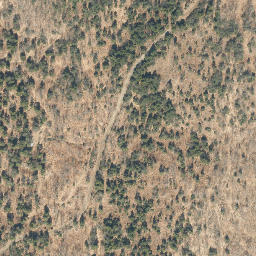 Satellite imagery of Oak Ridge, US